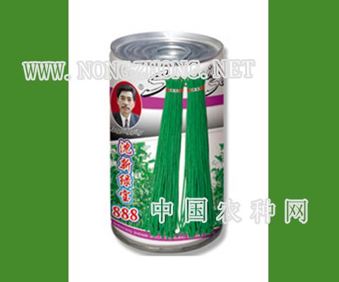 沈新绿宝888